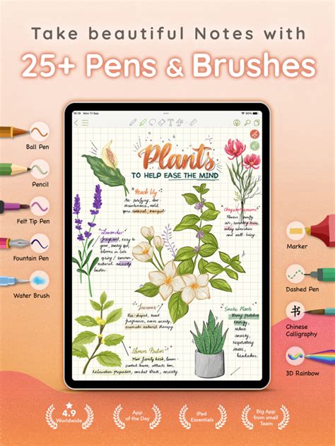 Image result for OneNote vs Collanote