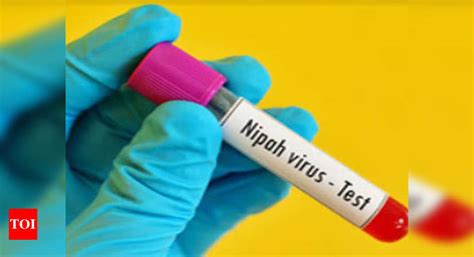Kerala: Nurses visiting Kerala told to remain alert | Jaipur News ...