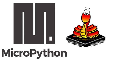 Image result for Micropython Icon
