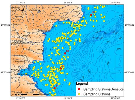 Spatial Distribution and Genetic Diversity of Turbot (Scophthalmus ...