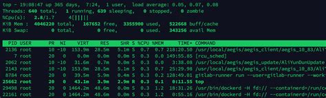 Explaining Linux Top 的图像结果