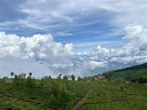 Top 15 Hill Stations Near Erode You Must Visit in TamilNadu