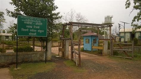 FDCM ECO COTTAGES MOHARLI (Chandrapur, Maharashtra) - Cottage Reviews ...