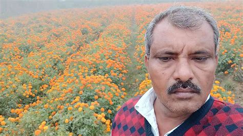FLORICULTURE: गुलाब नहीं भाया, गेंदे ने चमकाया, अब एक एकड़ से एक लाख की ...