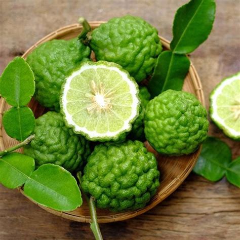 Kaffir Lime Live Plant (Citrus hystrix) – veliyathgardens