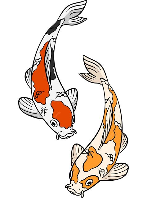 Realistic Koi Fish Drawing Clip Art Library