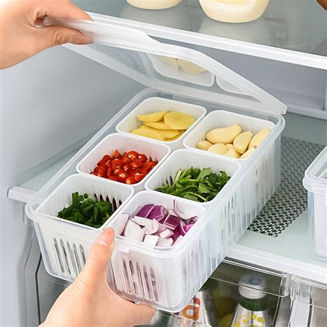 Kitchen Scallion Storage Box 6-in-1 Fresh Keeping Container – CRAZE