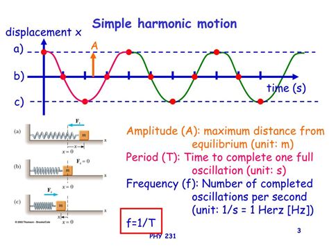 Image result for Simple Harmonic Motion Examples With