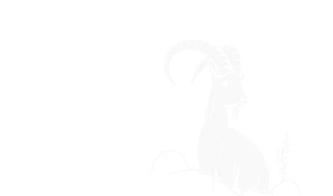 The two-process model of sleep