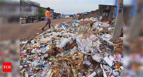 Image result for India Garbage Problem