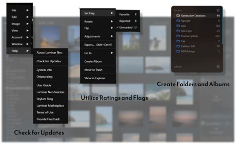 Image result for Luminar Neo Icon Folder