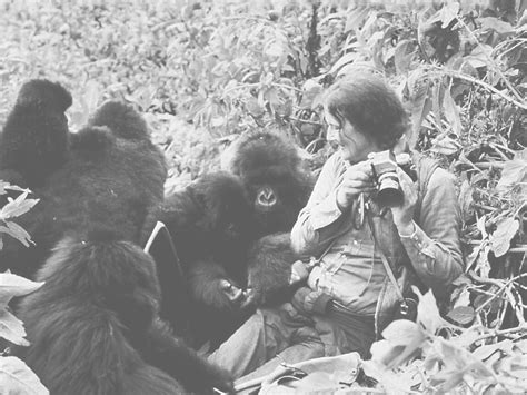 Dian Fossey and her Mountain Gorillas | Meer