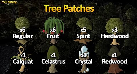 Image result for OSRS Tree Farming Locations