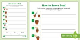 Image result for Seed Draw Script