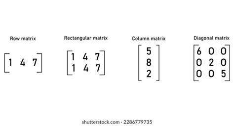 Image result for Different Types of Matrices