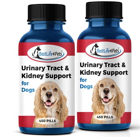 How To Treat Incontinence In Dogs Home Treatment