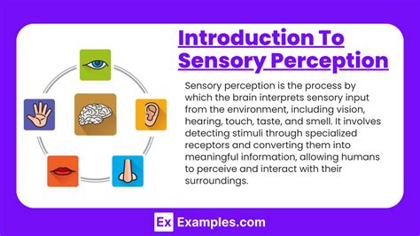 Perception Examples 的图像结果