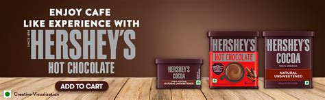 HERSHEY'S Hot Chocolate Drink Powder Mix, 250 g : Amazon.in: Grocery ...