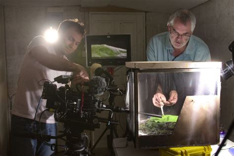 Image result for Alien Worlds Netflix