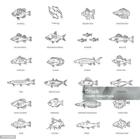 Types 的图像结果