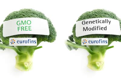 GMO Testing | GMO Testing Laboratories in India