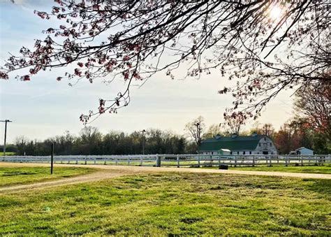 A Local’s Guide To Living In St. Inigoes, Maryland – LivingInMaryland.com