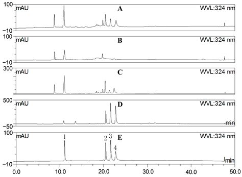 The Extracts Derived from Artemisia japonica Thunb. Leaves Mitigate ...