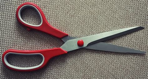 Image result for Scirrors Using