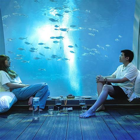 RESORTS WORLD SENTOSA - EQUARIUS OCEAN SUITES (Sentosa Island) - Hotel ...