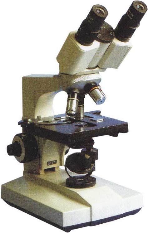 Lab Microscope 的图像结果
