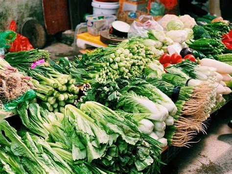 惠州菜价连涨！市价格监测中心回应蔬菜价格将逐步下行_惠州新闻网