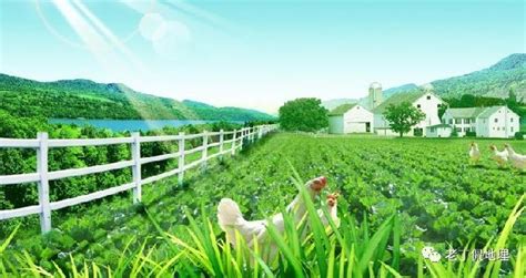 微专题：什么是生态农业