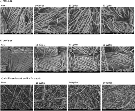 Image result for Scale Bar Magnification