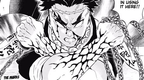 Does Gyomei Himejima Have a Love Interest in Demon Slayer? - Deltia's ...