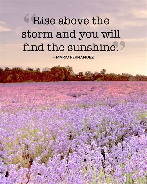 Positive Quotes For Summer at Sara Miller blog