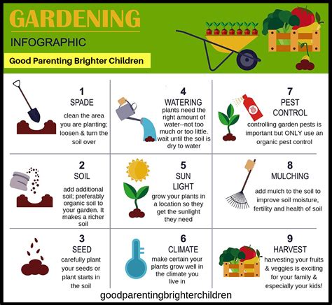 10 Fun & Educational Steps to Planting a Garden with Kids | Gardening for kids, Organic ...