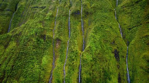 Do you know about the Wall of Tears in Hawaii?, Hawaii - TimesTravel