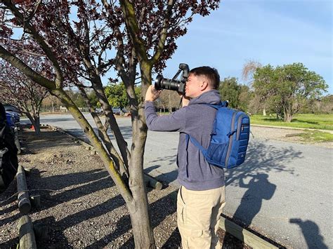 Naturalist Training- A Deeper Dive into iNaturalist, August 23 2023 ...