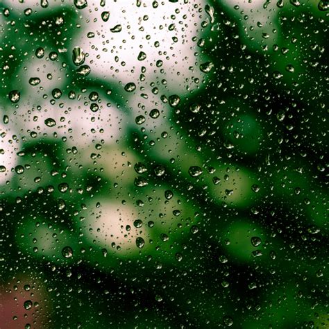 What Differs Drizzle From Similar Phenomena? - Weather and Climate ...