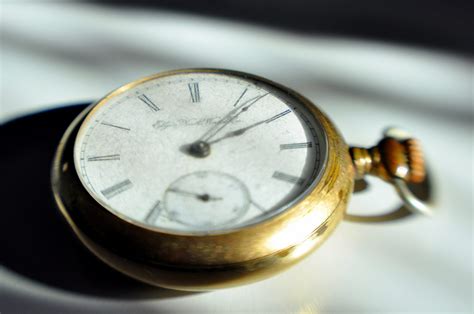 Image result for Brexit Watch