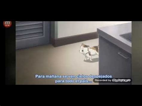 Image result for ZackScottGames Inscripted