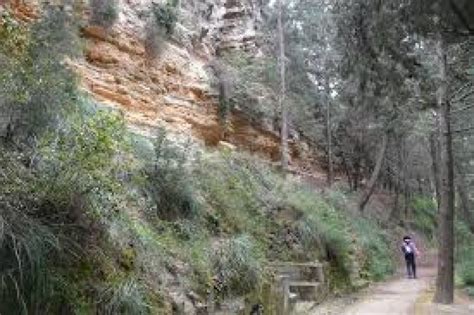 Rodini Park, rhodes, Greece - Top Attractions, Things to Do ...