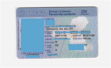 新移民应考取哪种加拿大驾照？最全加拿大驾照介绍（下篇） - 加美财经