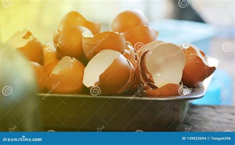 Image result for Egg Shell Recycle