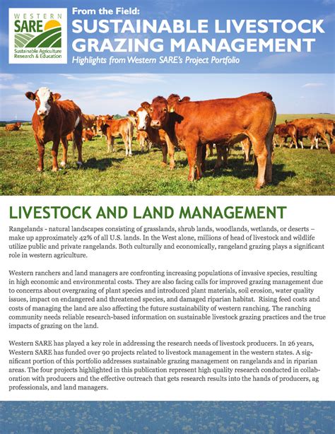 Himba Livestock Management: Sustainable Practices in Namibia
