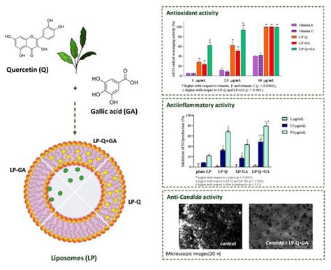 Utilizing Liposomal Quercetin and Gallic Acid in Localized Treatment of ...