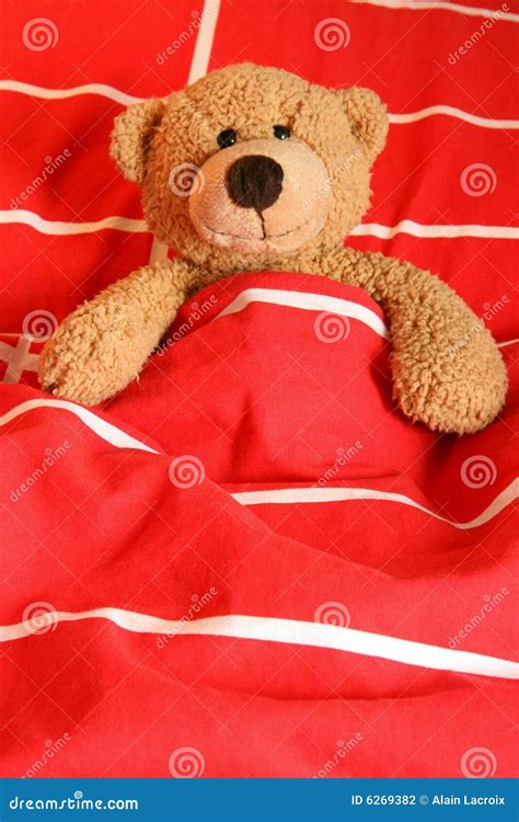 Sleepy bear stock photo. Image of appealing, cuteness - 6269382