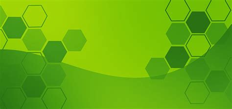 Ecostat