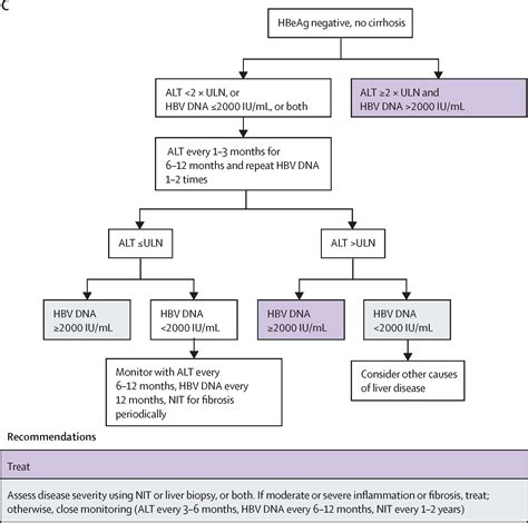 Hepatitis B - The Lancet