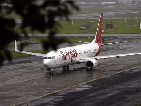 spicejet: SpiceJet has landed in the black despite heavy turbulence ...